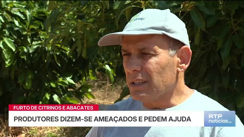 Imagem de Notícias 14