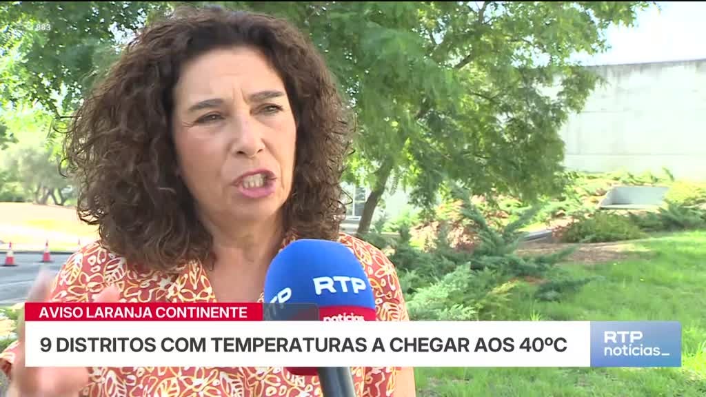 Imagem de Notícias 14