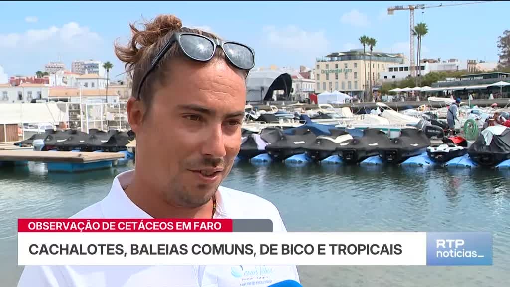 Imagem de Notícias 14