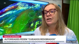 Imagem de Not�cias 14