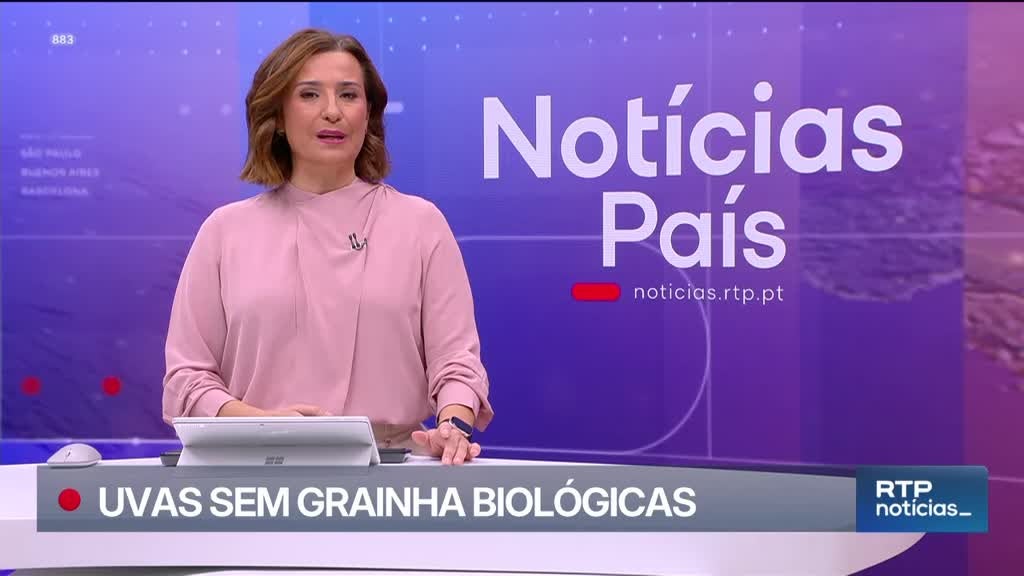 Imagem de Notícias 14