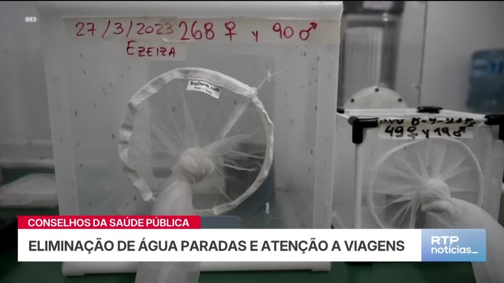 Imagem de Notícias 14