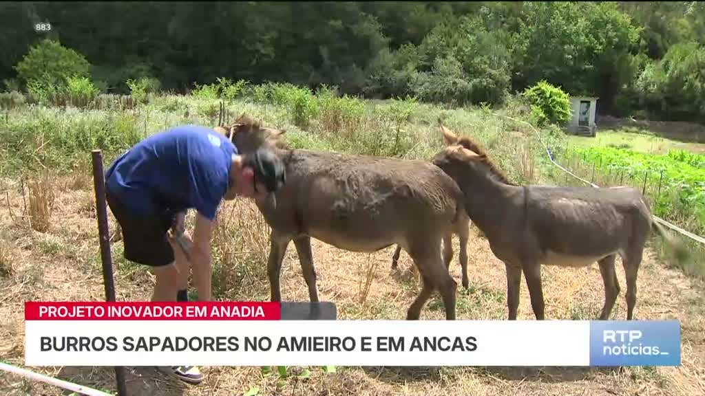 Imagem de Notícias 14