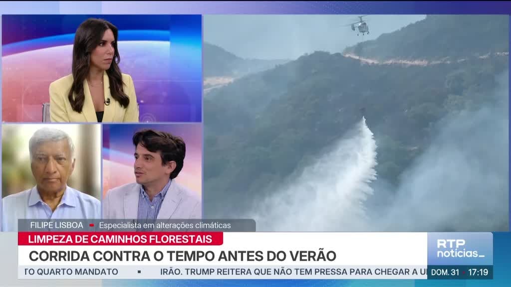 Imagem de Notícias 17