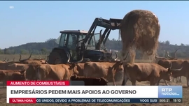 Imagem de Not�cias Sete da Tarde