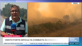 Imagem de Not�cias 16
