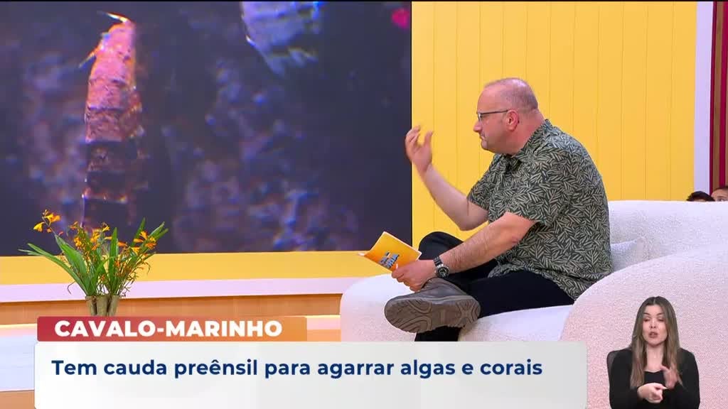 Imagem de Praça da Alegria