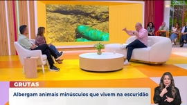 Imagem de Pra�a da Alegria