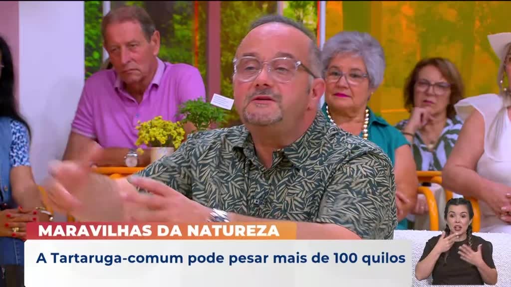 Imagem de Praça da Alegria