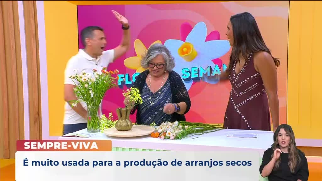 Imagem de Praça da Alegria