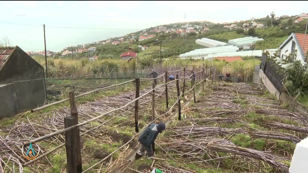 Imagem de Atlântida Madeira