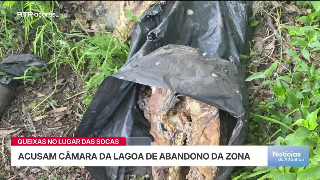 Imagem de Noticias do Atlântico Açores - Apresentação | Beatriz Terra