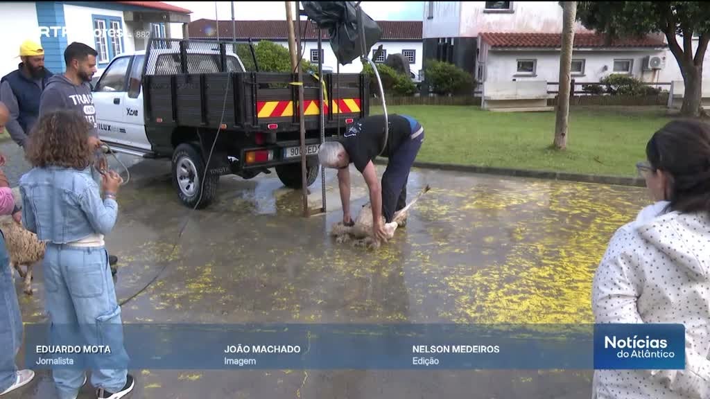 Imagem de Noticias do Atlântico Açores - Apresentação | Dulce Vieira