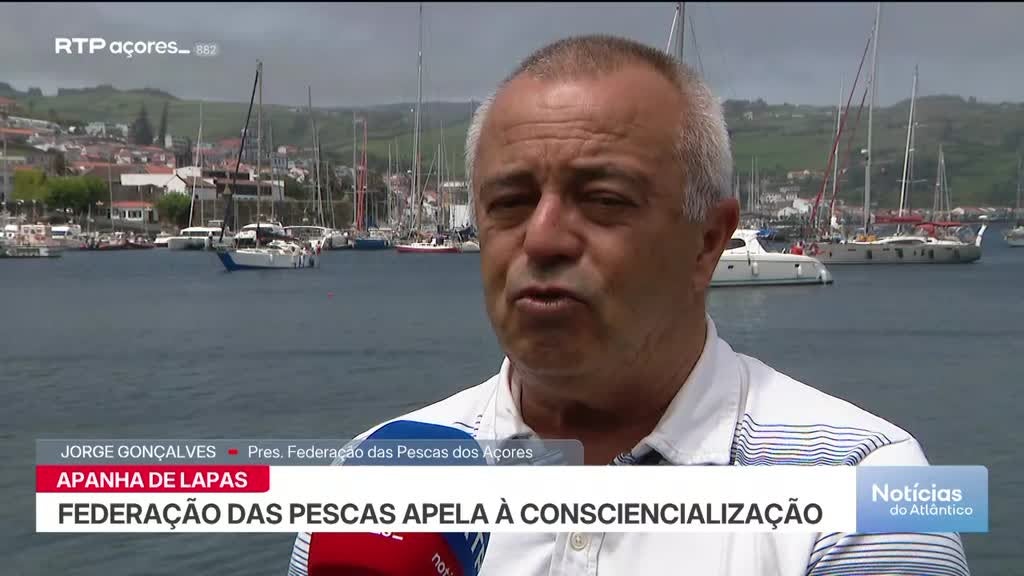 Imagem de Noticias do Atlântico Açores - Apresentação | Dulce Vieira