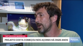 Imagem de Apresenta��o | Dulce Vieira