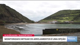 Imagem de Apresenta��o | Dulce Vieira