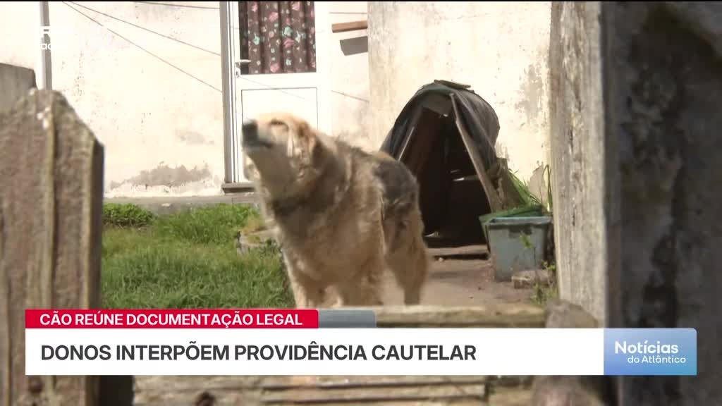 Imagem de Noticias do Atlântico Açores - Apresentação | João Simas