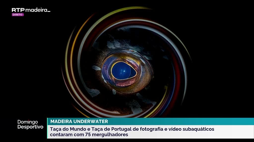 Imagem de Domingo Desportivo