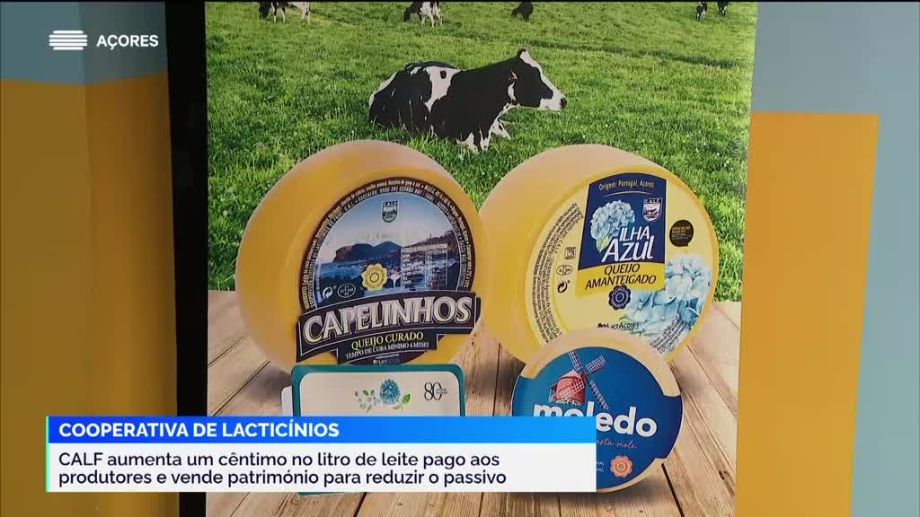 Imagem de Jornal da Tarde Açores - Apresentação | Marta Silva