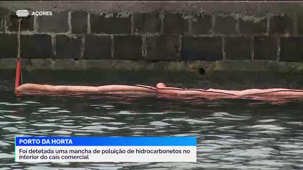 Imagem de Jornal da Tarde Açores - Apresentação | Susana Silveira