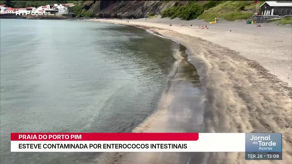 Imagem de Jornal da Tarde Açores - Apresentação | Dulce Teixeira