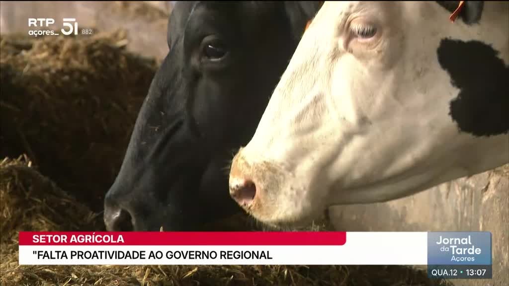 Imagem de Jornal da Tarde Açores - Apresentação | Nuno Neves