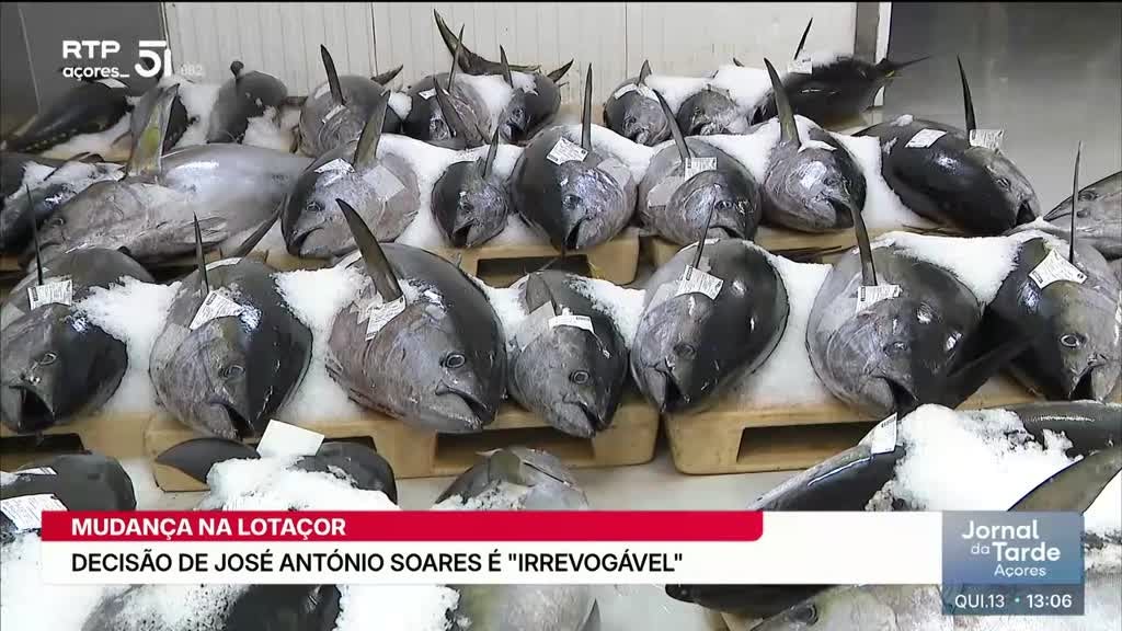 Imagem de Jornal da Tarde Açores - Apresentação | Nuno Neves