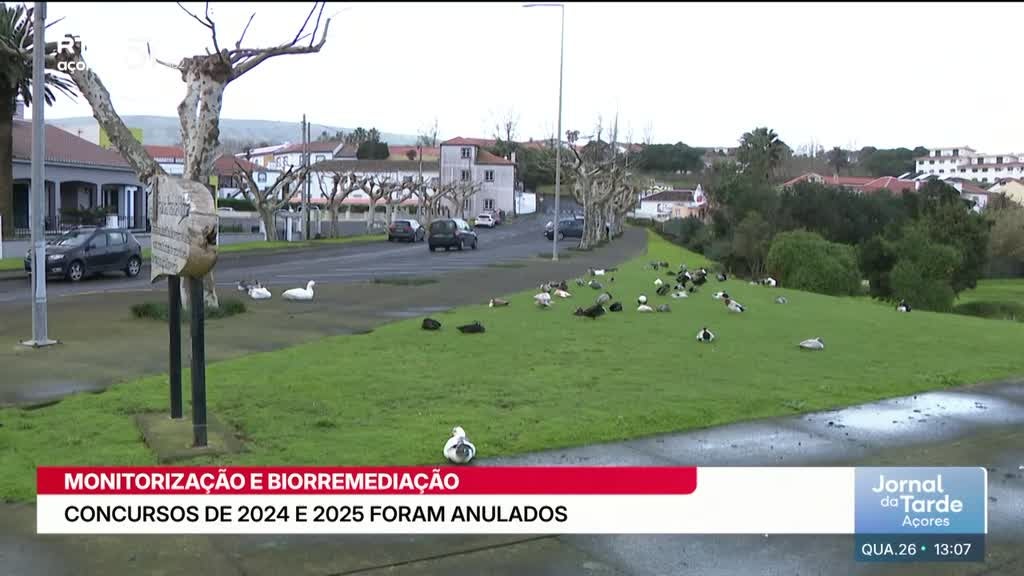 Imagem de Jornal da Tarde Açores - Apresentação | Susana Silveira