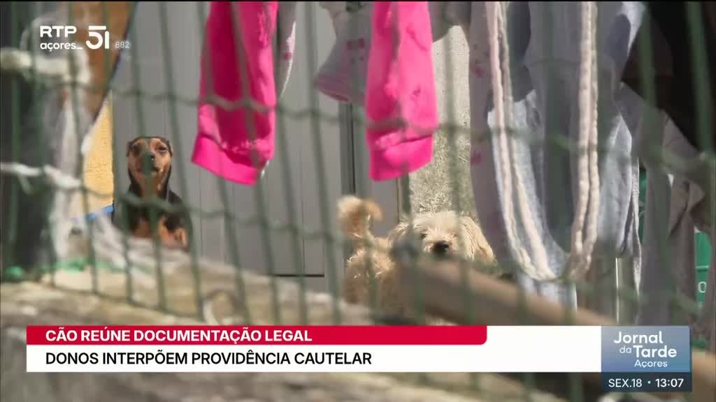 Imagem de Jornal da Tarde Açores - Apresentação | Nuno Neves