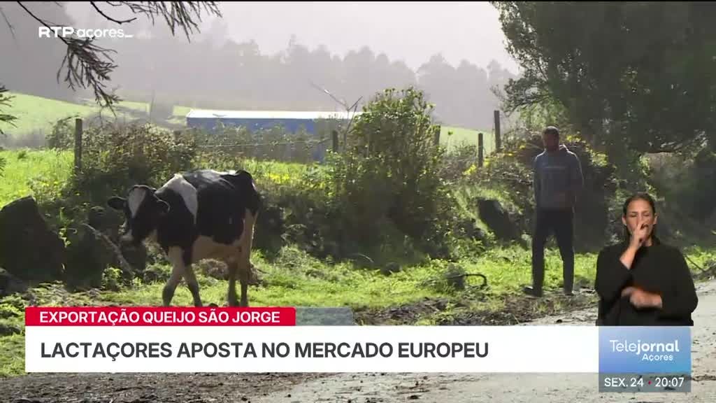 Imagem de Telejornal Açores - Apresentação | Dulce Vieira