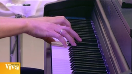 Imagem de Madeira Viva