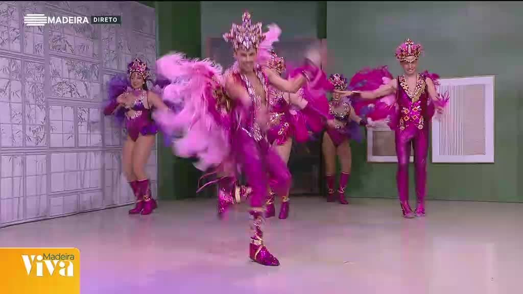 Imagem de Madeira Viva