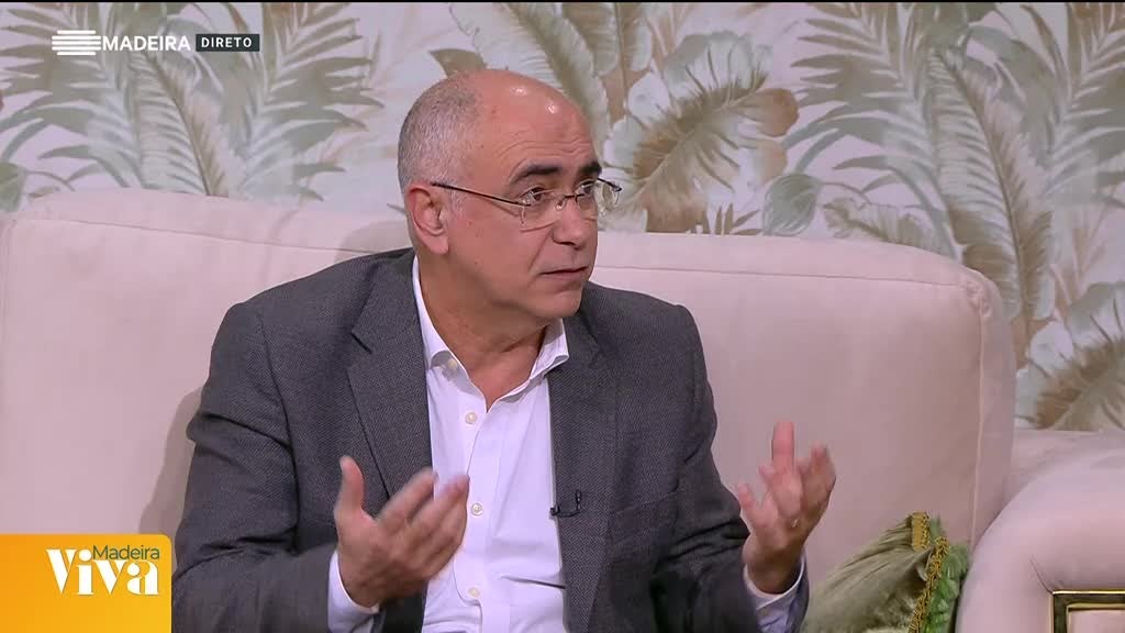 Imagem de Madeira Viva