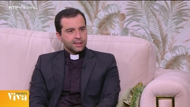 Imagem de Madeira Viva