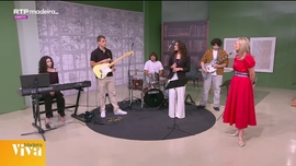 Imagem de Madeira Viva