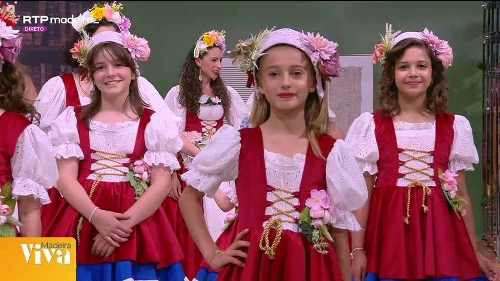 Imagem de Madeira Viva