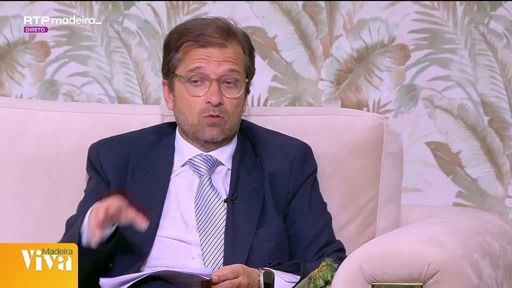 Imagem de Madeira Viva