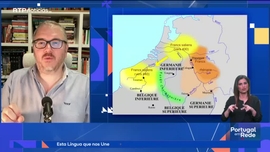 Imagem de Apelidos: Franco