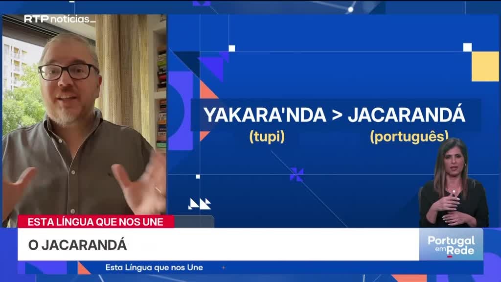 Imagem de Esta Língua Que Nos Une - O jacarandá