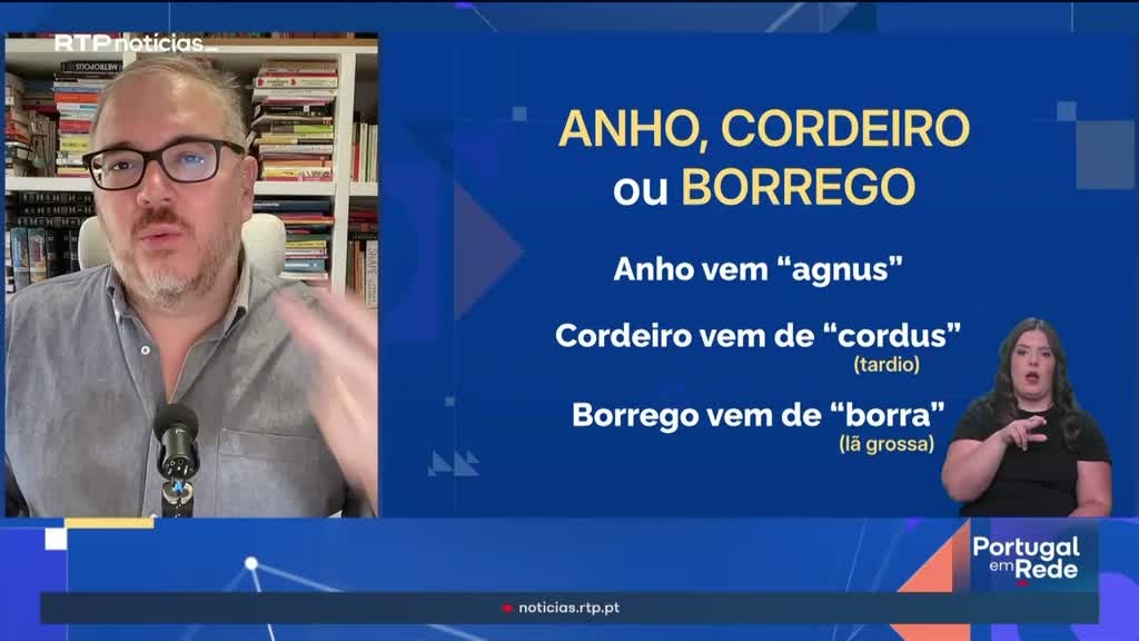 Imagem de Esta Língua Que Nos Une - Palavras relacionadas com animais em diversas regiões do país: Mungir ou ordenhar, anho, cordeiro ou borrego e cabrito ou chibo