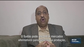 Imagem de Not�cias �frica