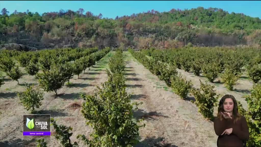 Imagem de Faça Chuva Faça Sol