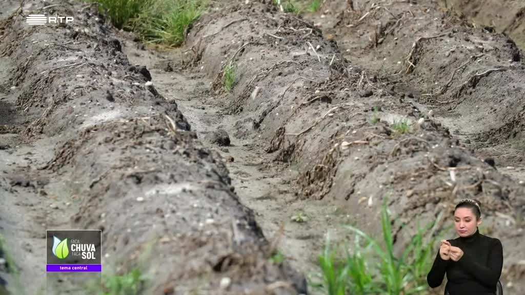 Imagem de Faça Chuva Faça Sol
