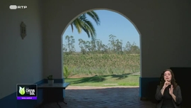 Imagem de Fa�a Chuva Fa�a Sol