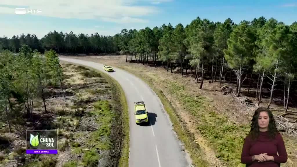 Imagem de Faça Chuva Faça Sol