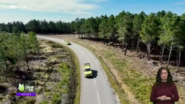 Imagem de Fa�a Chuva Fa�a Sol