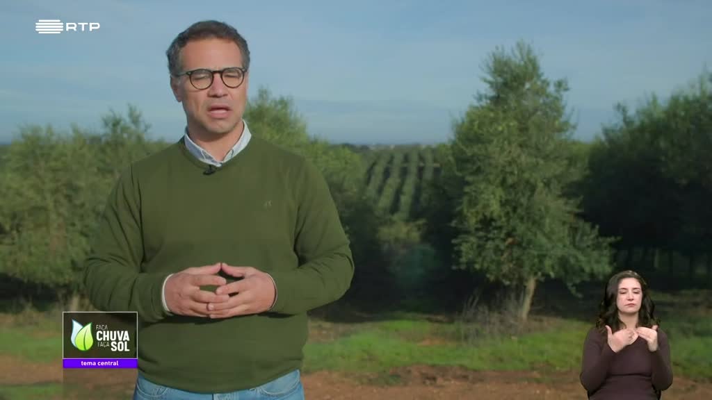 Imagem de Faça Chuva Faça Sol