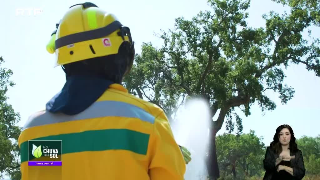 Imagem de Faça Chuva Faça Sol