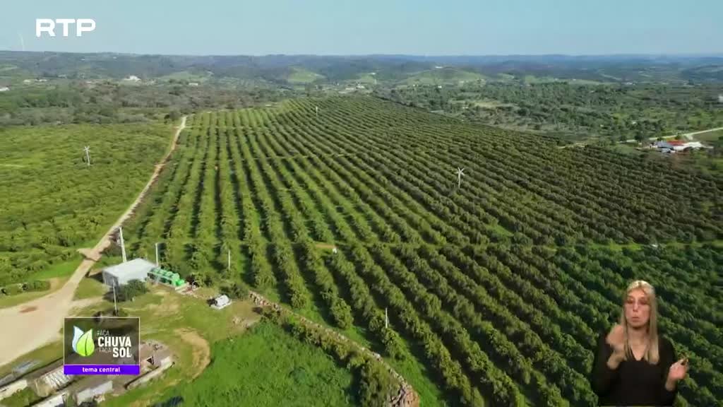 Imagem de Faça Chuva Faça Sol