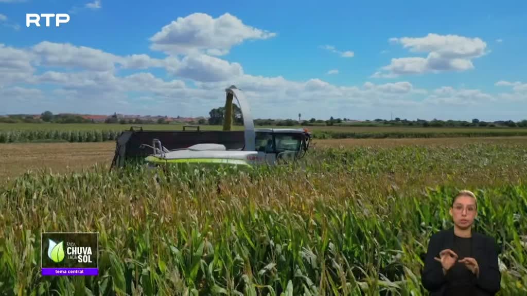 Imagem de Faça Chuva Faça Sol